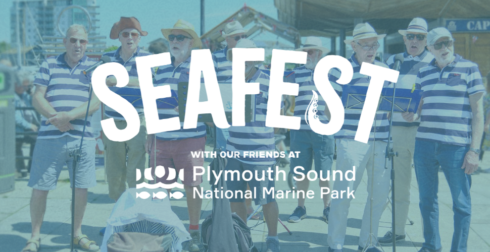 Music at Seafest